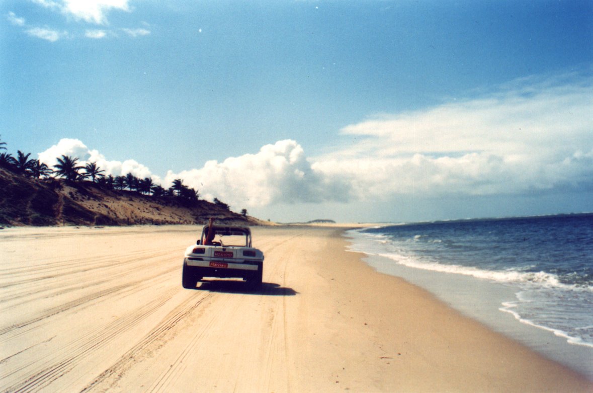 Beach Buggy Cruising
