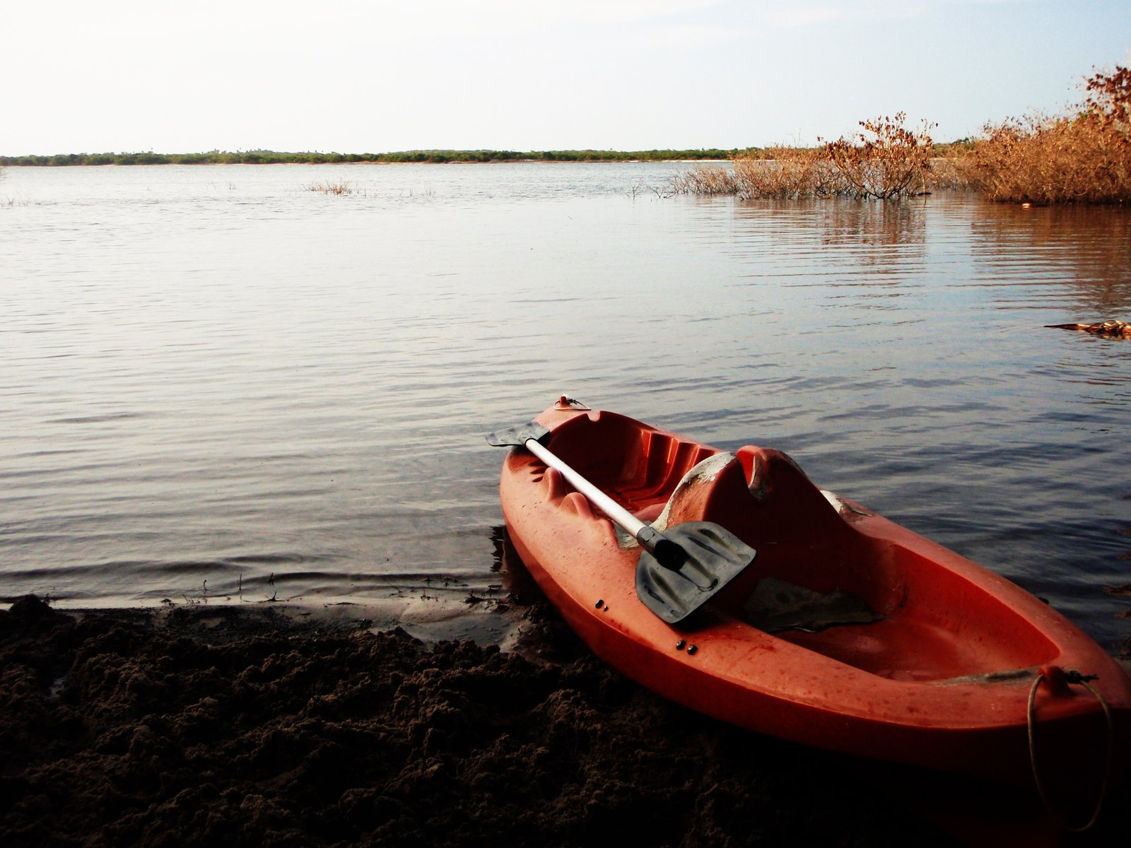 Canoe the lagoons