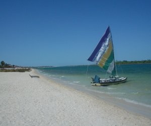 dsc03837