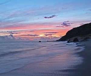 img_4452