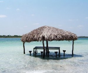 img_4563